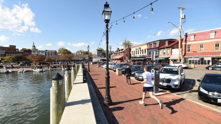 CRAB voices concerns about accessibility at Annapolis City Dock